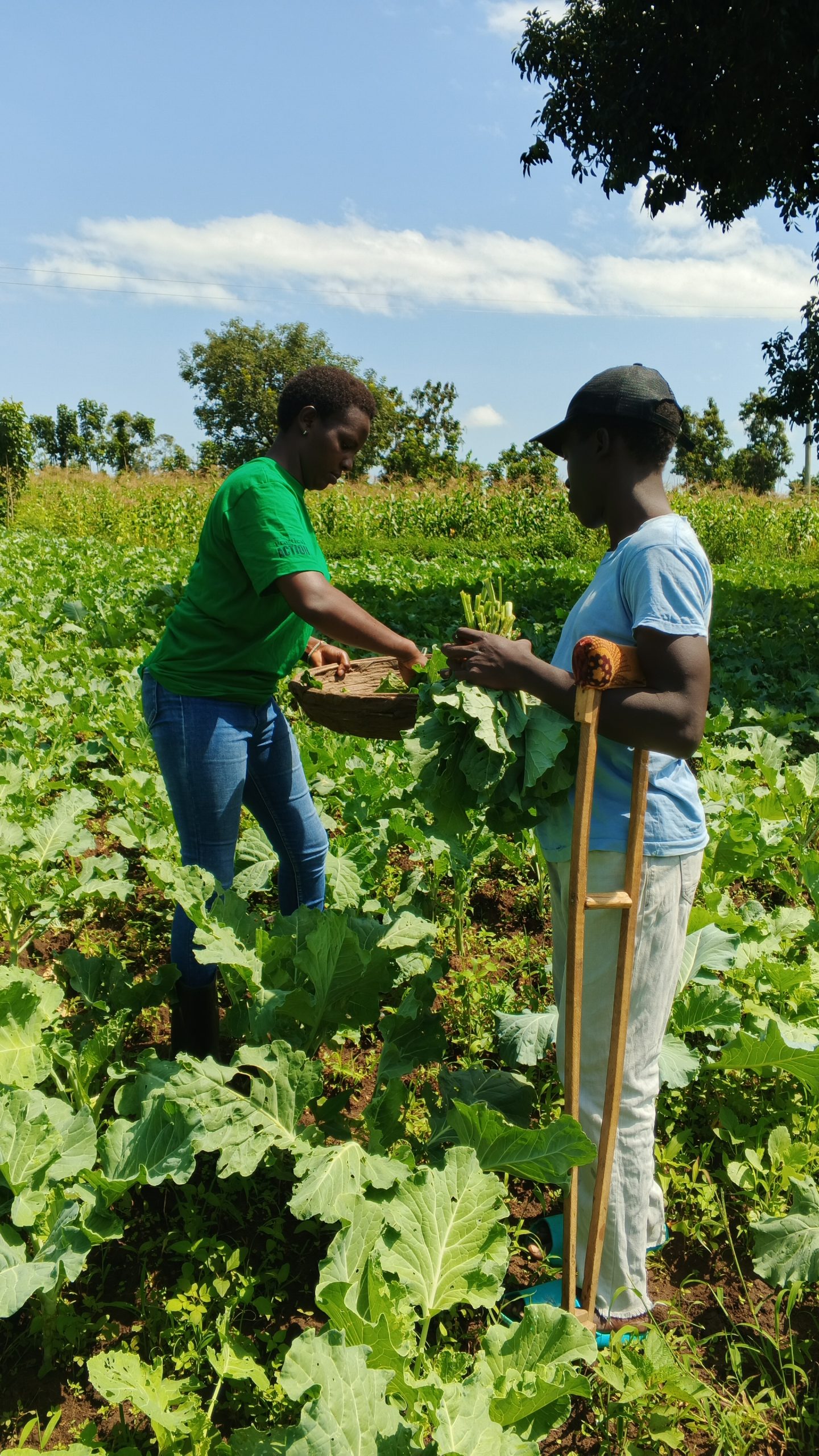 From Struggle to Soil: How a Young Mother is Transforming Her Life—and Her Village—Through Agribusiness in Bungoma