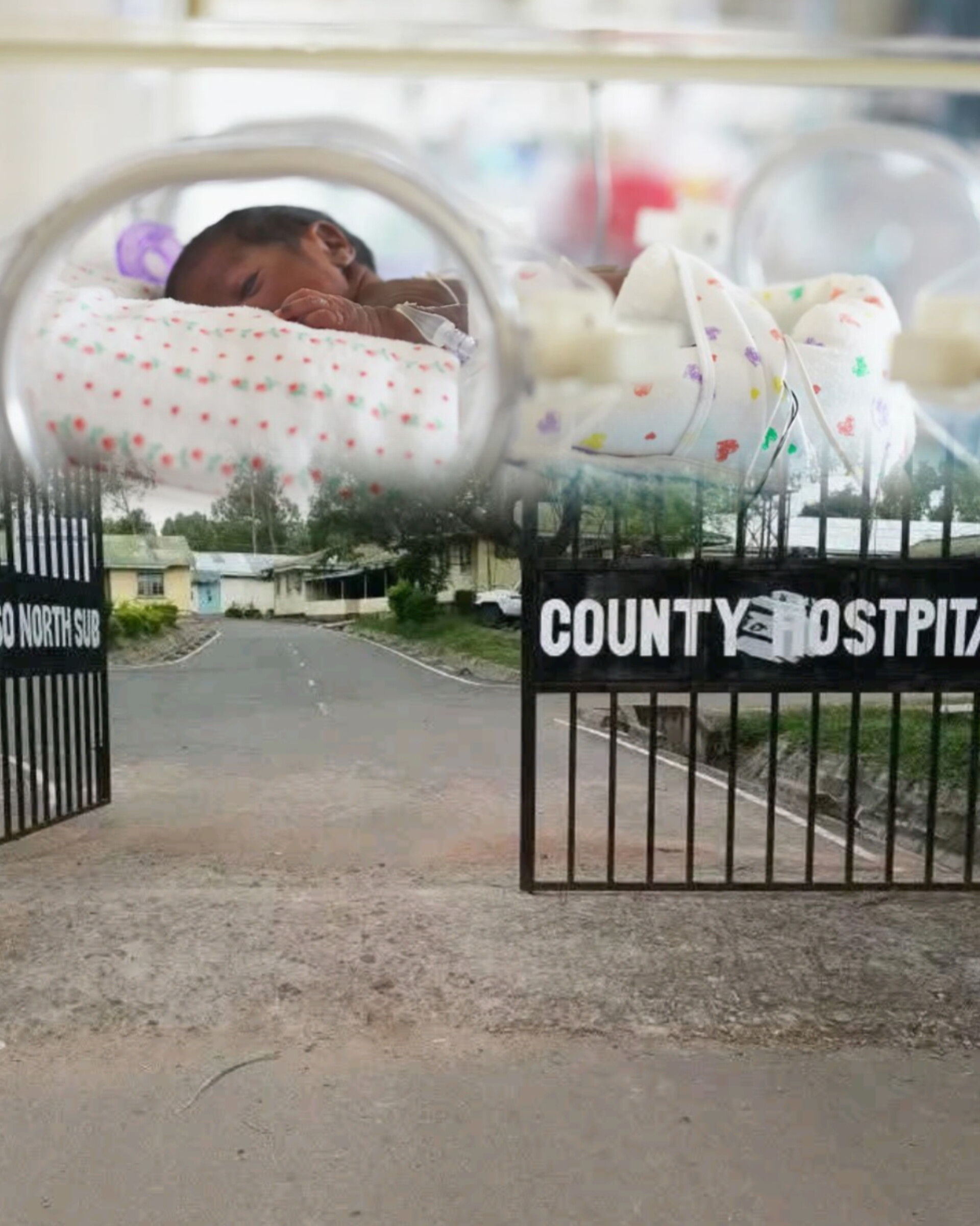 A Miracle in the Ashes of Tragedy: Baby Sharon’s Fight for Life After Losing Her Mother on a Dark Road
