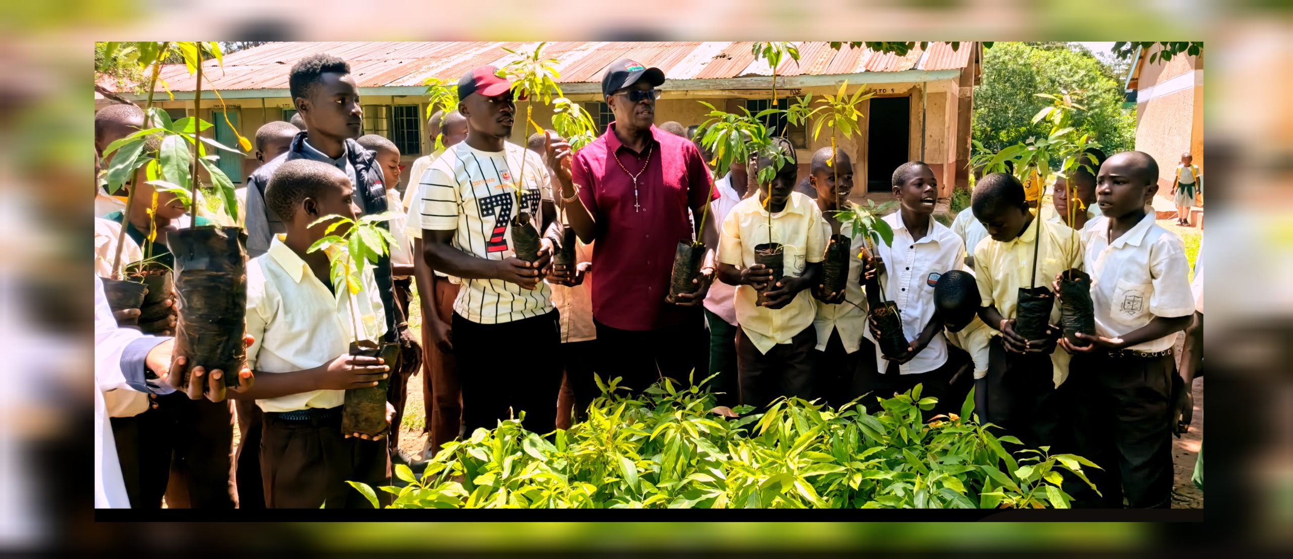 Plant an avocado, grow a school — Posho roots for Hass as climate fix, fee plan
