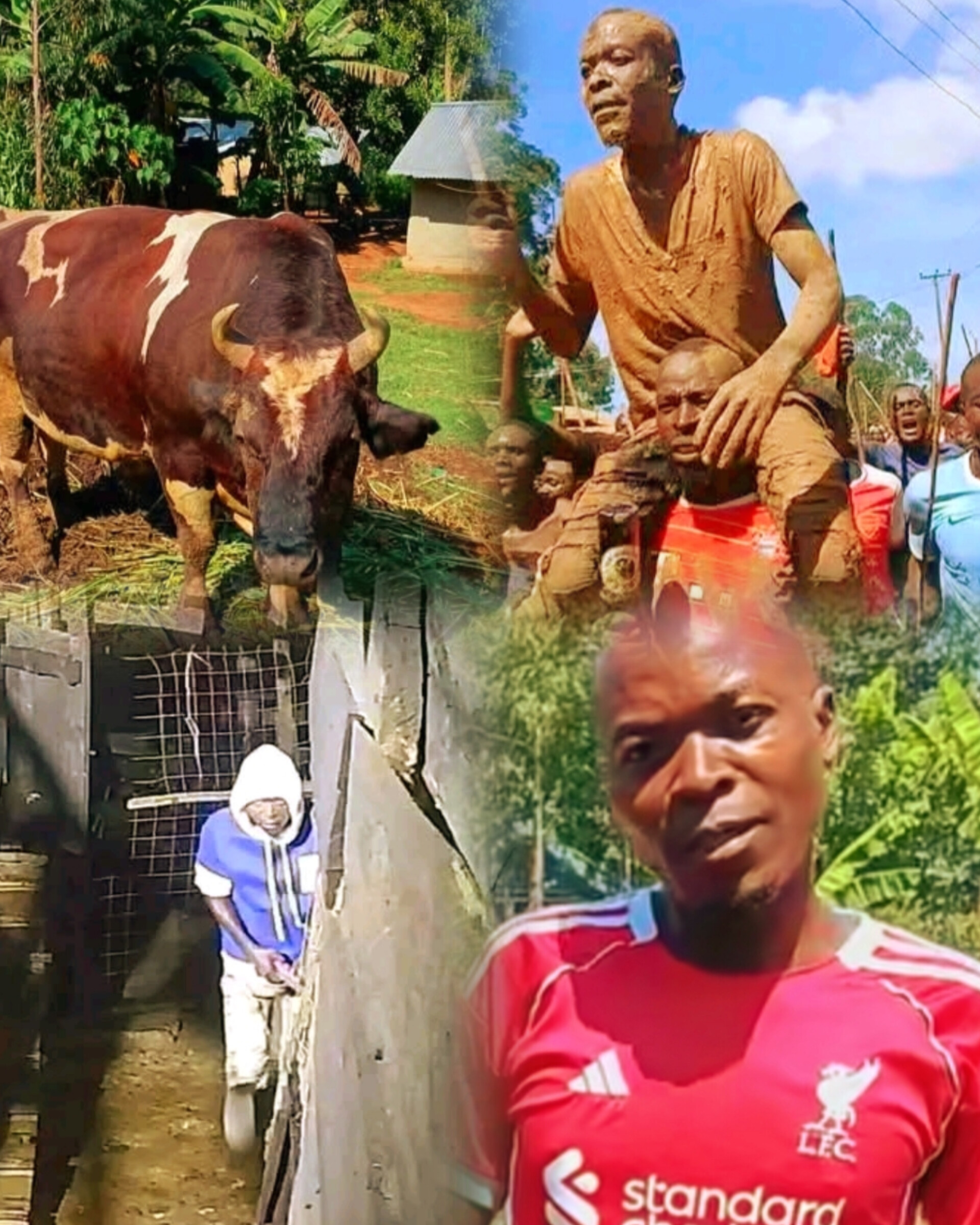 Khalwale Bars Shilembe for Slain Bull Owner CID—Tradition Clashes with Police Report