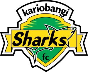 Relegation on Hold: Court Saves Sharks from Automatic Drop